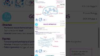 ALevel Biology Cells and Organelles Revision CardsCell biology Biology lessons Cell biology notes [upl. by Jecho]