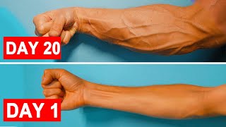 How To Get Veins in your ARMS  Forearm Workout  Veiny Hands [upl. by Reppep39]