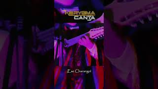 ¡Suena charanguito 🎶🤍 charango folkloreperuano folkloreboliviano [upl. by Akimad]