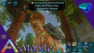 HIGH LEVEL PARACER TAME WHAT PLATFORM BUILD SHOULD WE DO ARK Mobile S1E50 [upl. by Essej481]