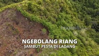 FULL Ngebolang Riang Sambut Pesta Di Ladang  SI BOLANG 091224 [upl. by Amiarom978]