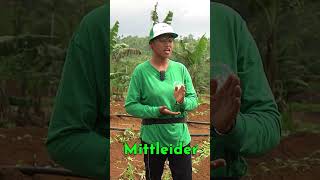 New Farm technology sa Pilipinas Mittleider Method agreesaagri shorts [upl. by Berry]