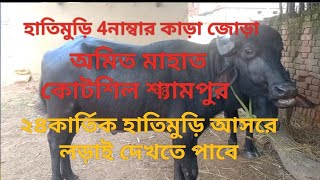 hathimuri 4নম্বর kara jora amit mahato kotshila shyampur [upl. by Nirej]