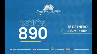 Sesión 890 del Pleno de la Asamblea Nacional [upl. by Yzdnil]