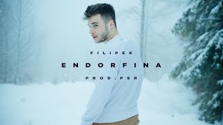 Filipek  Endorfina prod PSR [upl. by Gretal]