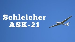 1987 Schleicher ASK21 Sailplane Regular Car Reviews [upl. by Aleibarg]