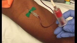 Phlebotomy Procedure Venipuncture with 21G Butterfly education phlebotomy tutorials [upl. by Aronow]