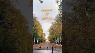 What is your favourite season 🍂 london fall autumn seasons city cute cosy vintage [upl. by Witte560]