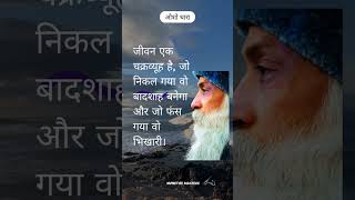 Osho most inspirational speech oshohindipravachan oshomeditation oshomotivationforstudentsshorts [upl. by Hsaka]