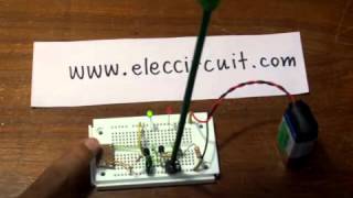 Lie detector circuit [upl. by Goodrow]