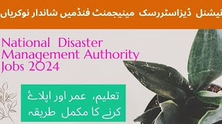 New National Disaster Management Authority Jobs 2024  NDMA Jobs 2024 [upl. by Schaaff320]