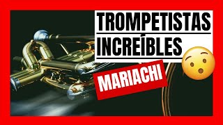 Los MEJORES SOLOS de TROMPETA 🎺 Mariachi  IMPOSIBLES Parte 1 [upl. by Hamish]