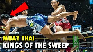 Kings of the Sweep Vol1  Muay Thai [upl. by Shields484]