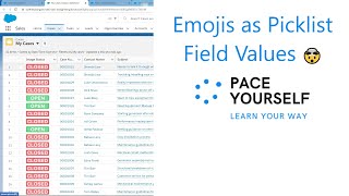 Salesforce Use Emojis as Picklist Field Values [upl. by Eidurt]