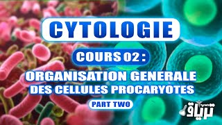 CYTOLOGIE 1ère année  Organisation Générale de la Cellule Procaryote  Partie 2 [upl. by Votaw]