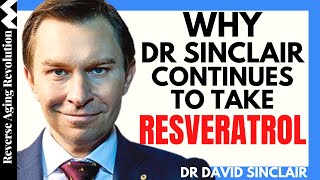 WHY Dr Sinclair Continues To Take RESVERATROL  Dr David Sinclair Interview Clips [upl. by Eladnyl]