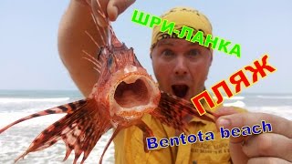 Шри ЛанкаBentota beachSri LankaROY VILLAБЕНТОТА пляж [upl. by Zosi35]