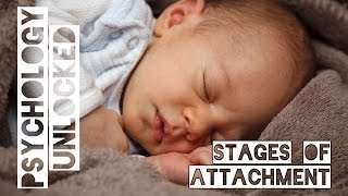 How Babies Form Attachments  Four Stages  Schaffer amp Emerson [upl. by Strader]