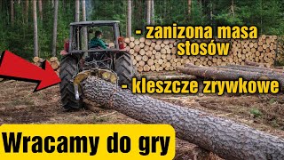 Zaniżana masa stosów i kleszcze zrywkowe  WRACAMY DO GRY  Zwykły dzień w lesie odc6 Okiem ZULa [upl. by Milburr829]