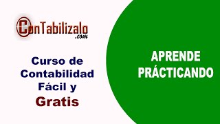 04 Cuentas Contables De Contabilidad ConTabilizalocom [upl. by Astto]