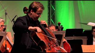 Shostakovich Cadenza Wolfgang Emanuel Schmidt  Cello Akademie Rutesheim [upl. by Fredric93]