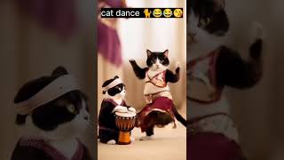 Kajrare dance by funny cat💞😘😂😂 [upl. by Dominick]