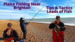 Plaice Fishing Near Brighton Tips Tactics and Loads of Fish [upl. by Anirres]