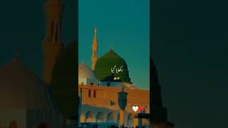 Eid Milad Un Nabi 2024 Status  Coming soon Eid milad un Nabi Status New islamic Full statusshort [upl. by Celestine]