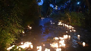 Candles Down the River Lyme Regis 2023 [upl. by Terrej271]