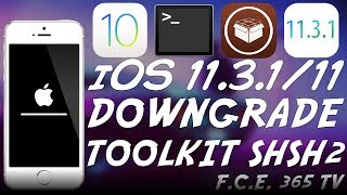 iOS 1131 DOWNGRADE  UPGRADE  NEW TOOLKIT AND INSTRUCTIONS RELEASED [upl. by Jesus672]