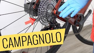 Campagnolo EKAR 13fach Schaltung einstellen  einfach amp schnell  Fahrradorg [upl. by Perren]