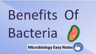 Benefits of bacteriauses of bacteriaadvantages of bacteria [upl. by Nrol]