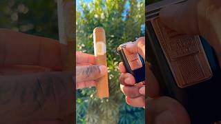 🔥💨 Tranquility with a delicious Drew Estate Undercrown Shade cigar cigar asmr shorts luxury [upl. by Dowski]