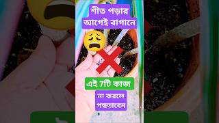 শীতে গাছ তরতাজা রাখতে এখনি করুন এই 7টি কাজ wintergarden plantcare gardening nurserytricks hack [upl. by Harbot]