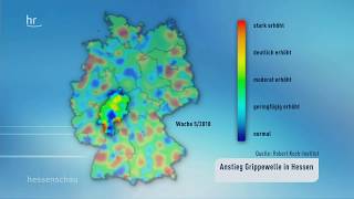 Grippewelle ebbt nicht ab [upl. by Aneled]