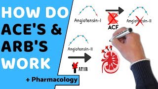 How do ACE amp ARBs Work  Pharmacology [upl. by Thad672]