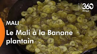 Mali à la découverte d’une plantation de banane plantain [upl. by Howland]