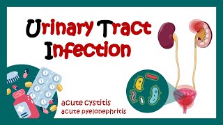 Urinary Tract Infection  Overview signs and symptoms pathophysiology causes and treatment  UTI [upl. by Colyer615]