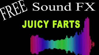 Free Sound Effects  10 Minutes of JUICY FARTS with AUDIO LEVELS  HD [upl. by Enirbas]