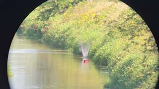 FLF 450 Bushmaster 600 yards at moving targets [upl. by Uokes482]