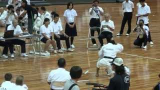 2013少林寺拳法世界大会 in OsakaJapan 組演武 インドネシア2 [upl. by Cod356]