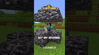 TODAY I FINALLY GET REVENGE ON THE NOOB IN MINECRAFT 🛍️ shorts [upl. by Delwin]