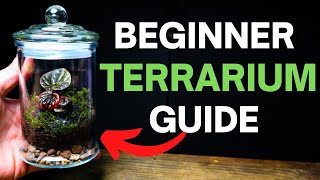 How To Make a Terrarium  A SIMPLE Beginner Guide [upl. by Pinter]