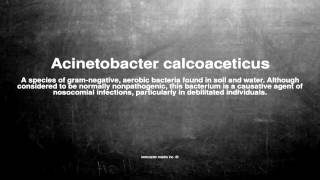 Medical vocabulary What does Acinetobacter calcoaceticus mean [upl. by Anead946]