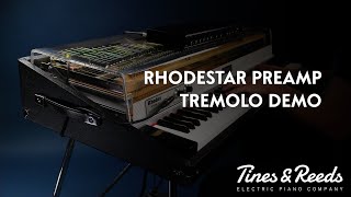 rhodestar  The new Fender Rhodes Preamp tremolo demo [upl. by Willie]