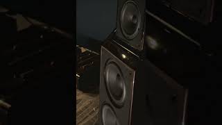 Dan D’Agostino Relentless 800 195000pair and wilson speakers audio hifi audiophile music [upl. by Hamal]