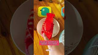 🦐🦐🦐Cubpi mistook his pair of slippers for a lobster Hilarious video toysdiy funny trending [upl. by Anilasor913]