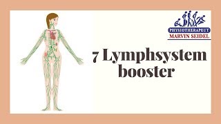 7 Tipps um euer Lymphsystem zu aktivieren [upl. by Chere]