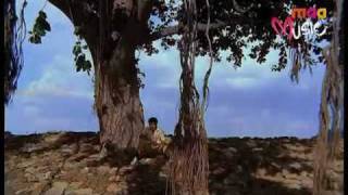 Maa Music  KU KU KOILA KEERTHANA MANAVARALII PELLI SONGS Watch Exclusively on Maa Music [upl. by Aicilihp]