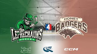 Leprechauns v Honey Badgers  Div 4  30th October  IceHQ Rec League ice hockey [upl. by Codie]